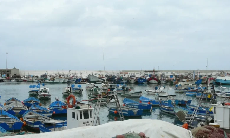 ارتفاع بـ28% في مفرغات الصيد بميناء المضيق