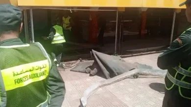 سلطات إفران تواصل حملتها لتحرير الملك العمومي من الاحتلال العشوائي