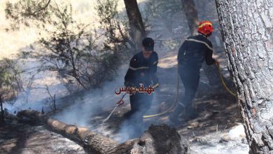 طنجة.. الوقاية المدنية تسيطر على حريق بغابة الخرب والتحقيق جارٍ لتحديد أسبابه (صور)