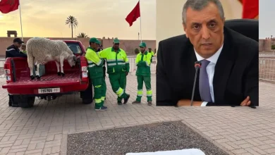 إعفاء والي جهة مراكش آسفي بسبب ذبح أضحية العيد