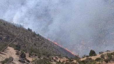 إندلاع حريق في غابة “ثندا إفران” بإقليم الحسيمة