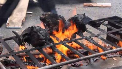 السلطات تحذر الأفران من شي رؤوس الأضاحي خلال عيد الأضحى