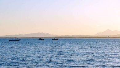 العثور على الطفلة مريم التونسية ميتة
