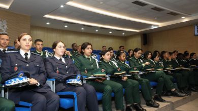 القنيطرة.. يوم دراسي حول حماية الثروة الغابوية والحياة البرية