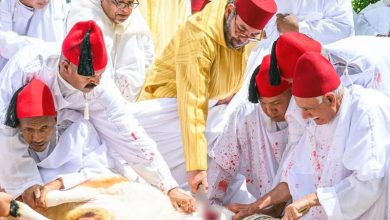 تطوان.. الملك ينحر أضحيتي العيد باسم جلالته و نيابة عن شعبه الوفي