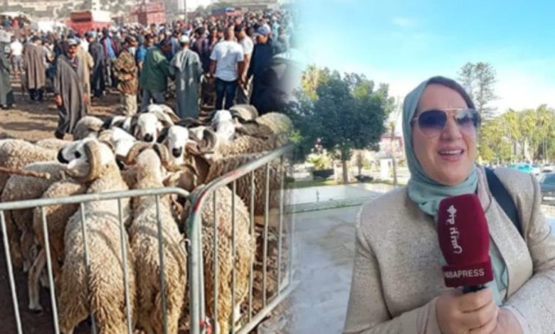 رئيسة مجلس سطات تُغلق رحبة بيع الأغنام والأبقار