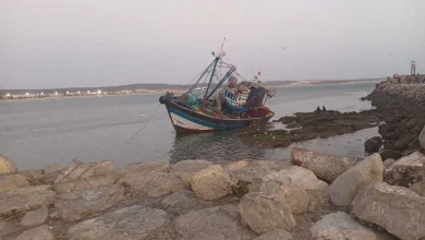 الصويرة.. مركب “سردين ” عالق بين الصخور بالميناء يستنفر السلطات