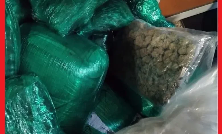توقيف كنديين بحوزتهما 133 كلغ من “الماريخوانا” بمطار البيضاء