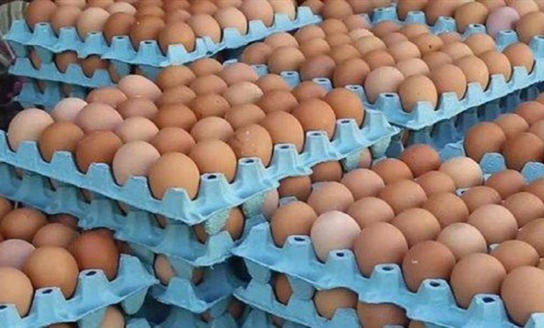 رغم تعود المغاربة على انخفاضه في الصيف.. سعر البيض يستقر في درهم ونصف