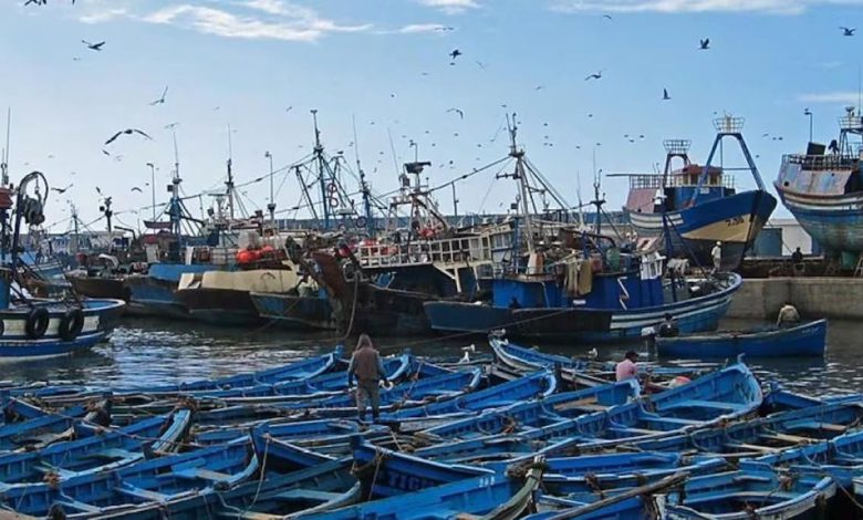 ميناء الصويرة.. تراجع كبير في كميات الصيد الساحلي والتقليدي