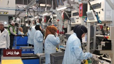 إحداث 358 مقاولة جديدة بجهة كلميم-وادنون خلال سنة 2025