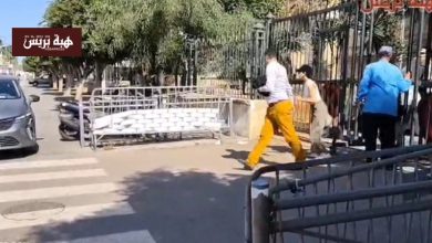 إخلاء سبيل الممثلة غيثة عصفور وصديقتها وقرار بحفظ القضية