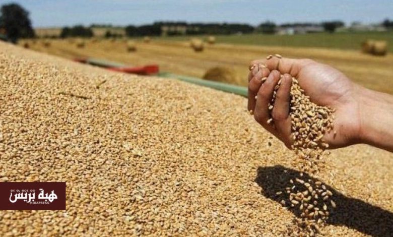 بفضل تحسن الموسم الفلاحي.. أسعار الحبوب والقطاني تسجل انخفاضا