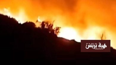 حريق مهول يلتهم غابة عين ألمو واستنفار واسع بإقليم بركان