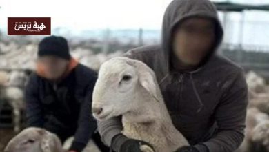 عصابة “الفراقشية” تضرب من جديد بجماعة تمصلوحت
