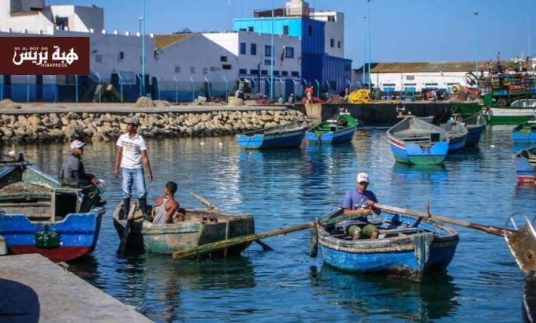 مفرغات الصيد البحري بميناء المضيق تصل إلى 1578 طناً